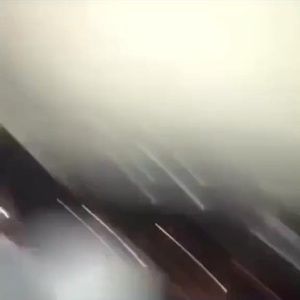 Meet your Posher, Noah